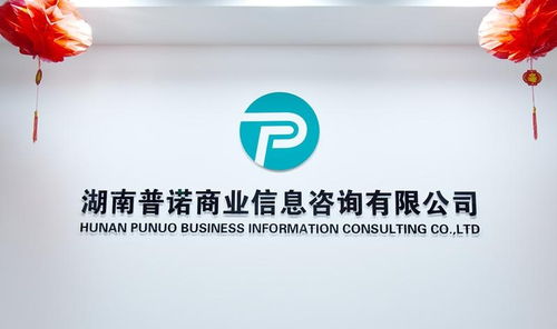 湖南普諾商業信息咨詢 賦能企業決策的專業信息咨詢服務